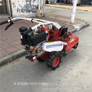 ��ݮ����¢������ ���˰ײ���ֲ��������ʥ����
