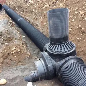 ���ϲ��ƹ��������� �����ִ��������� �ܵ������� ������