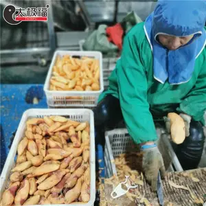 ������Ƥ��/������ӹ��豸/��Ч��/������/�ͺ���ȫ