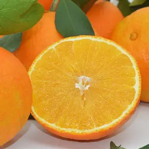 �������� ���� 091�޺��ָ� ����ֱ��