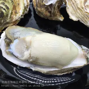 �������������Ӧ ��������ĵ�� �ʻ�ˮ���տ�ʳ�ĺ�����
