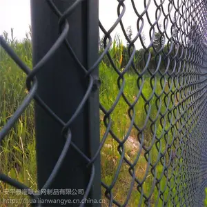 ����Χ�� ī��ɫ��Χ�� �������������г�