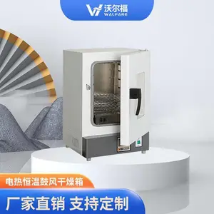 电热恒温鼓风干燥箱高温工业实验室灭菌消毒五谷杂粮烘烤箱