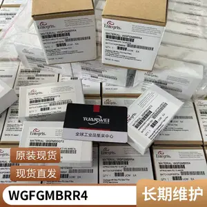 Entegris Ӣ�ظ� Ӧ�ظ� 1/4�� ���� ������ WGFGT1PR1
