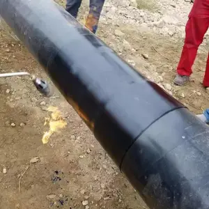 ���ϲ��ƹ��������� �����ִ��������� �ܵ������� ������