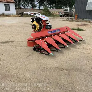 �������͸�ɹ�� ����΢�͸�ɹ�� �����׸�ɹ��