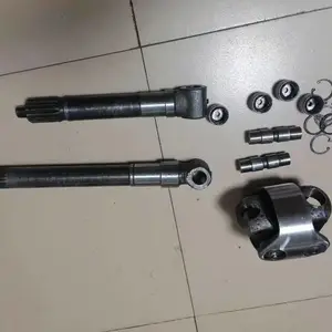 ��ʢǰ����� ���� ���� ������ ��Ӧ