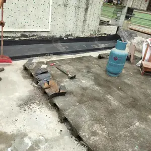 �Ƹ�����***����������Ч�ʿ쿭ʢ