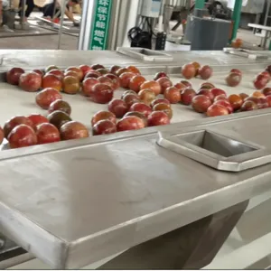 亘扬 百香果汁生产线设备 百香果去皮打浆 杀菌 灌装生产线设备