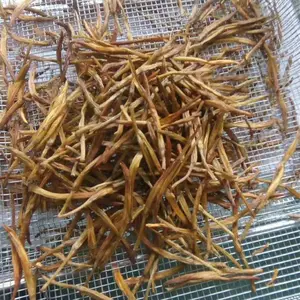 燃煤蔬菜烘干设备批发-迈特思机械设备公司