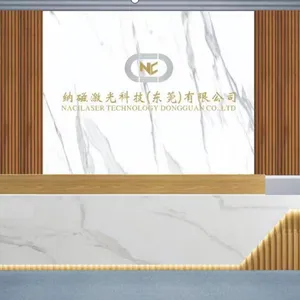 纳磁激光科技（东莞）有限公司