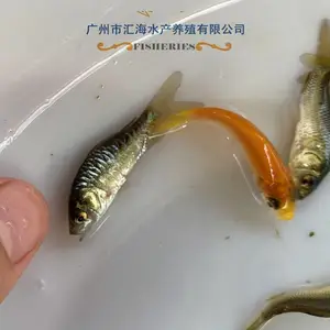 ����������س��ڹ�Ӧ�̻������� �ɻ������� ������ �������� �ɰ������� ������ �ɻ�***