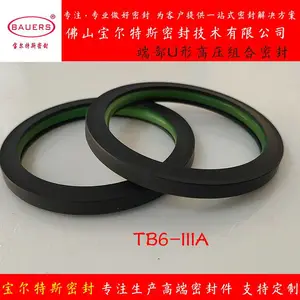 轴向端部U型滑环组合密封TB6-IIIA高压组合密封