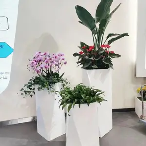 中山放心的绿植租赁哪里实惠