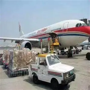 汕头 航空货运 牛蛙空运 文件空运 空运服务