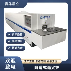 网带式退火炉 链式热处理炉定制 气氛保护炉 晨立电子