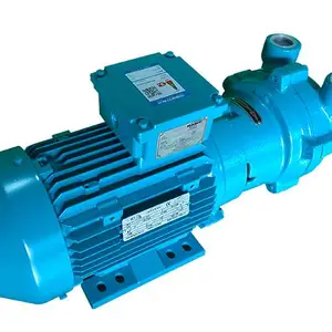 NASH��ձ� ٥����ʿ2BV2061ONC02-2P С�͵綯����