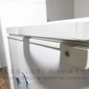 ��Ȼ������ʽȼ��������� Һ����ȼ������XD-198