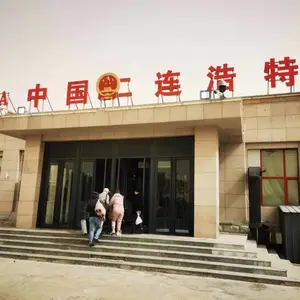 �ж����� ���˴�� ֣��������˹Ī˹�� ���ڻ������鷴Ӧ��