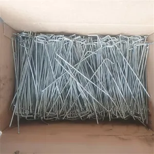 �͸��²���ֱ��¶� רҵ������п���¹���������Ƭ