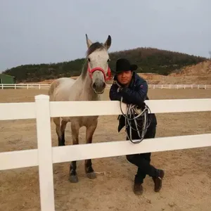 广东珠海养马牧场护栏跑马赛道栏杆马场护栏厂家价格美式隔离栏