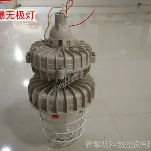 厂家直销BZD-05防爆免维护低碳无极灯 防爆照明灯 防爆无极