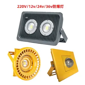 LED防爆隧道灯 30w-200w台车行车防震36v防爆灯