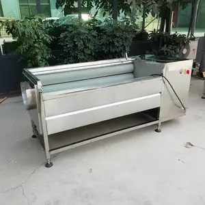 小型毛辊土豆去皮清洗机 不锈钢红薯清洗机厂家直销