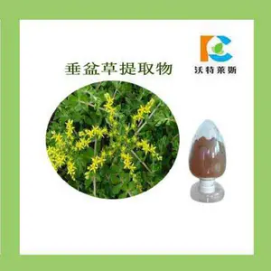 �������ȡ�� 10:1 Ũ���� ��ȡҺ ���� ������˹ 1�������