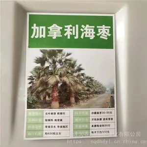 �������������� �۸� ����Ǯһ�� ����������