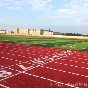 湖南长沙全塑型塑胶跑道施工