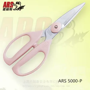 �ձ����ð���˹��������ARS-5000-P-G��������ʳ�����ͥ����ѿ