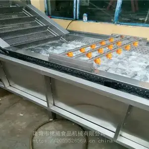 水果清洗机 气泡式水果清洗机厂家