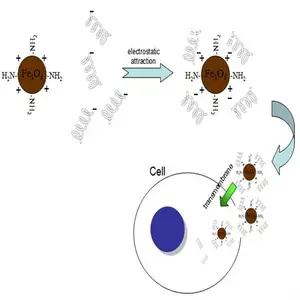��Ӧ ���������� DNA ��ȡ�Լ��У����鷨�� 100T