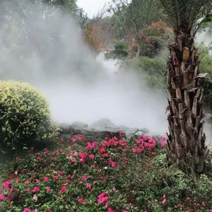 江门市专业设计游乐场景观雾喷项目