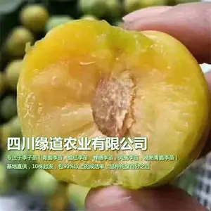 四川缘道农业有限公司