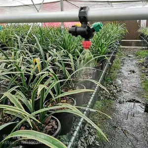 大棚自动行走轨道喷灌机汉明育苗水车优点介绍