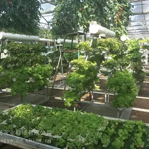 无土栽培玻璃温室种植效果图玻璃大棚价低山东贝塔农业
