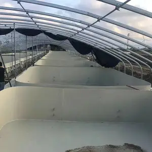 室外可用PP养殖池 工厂化循环水系统耐腐蚀 活鱼运输水箱