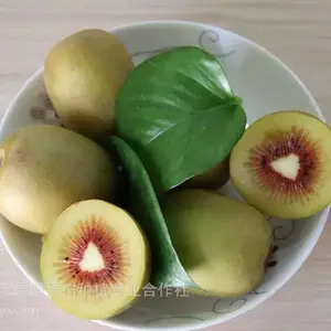 ����⨺��������ϵ���� Ʒ����ȫ ��Ӧ����⨺������� ����⨺����� �����⨺��� ⨺�����ֲ����
