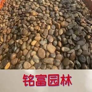 深 圳吨袋装鹅卵石图片，深 圳河卵石价 格，吨袋装鹅卵石180元一吨