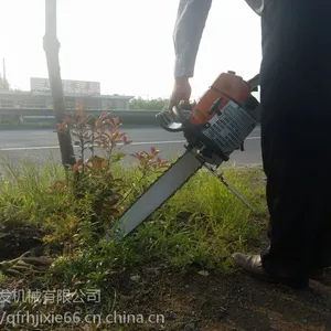 �Ͻ�ֲ���80���ֳ���ݾ����� ��԰�Ӻ����������