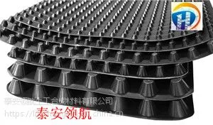 哈尔滨蓄排水板-隧道排水板生产厂家