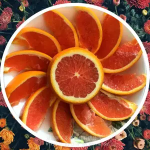 卡拉红肉脐橙_树人农林无核脐橙_晚熟脐橙基地报价