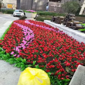 ���滨���� ����������� Ծ��