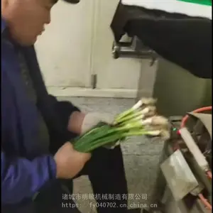 ���ȥƤ�� �²�ȥƤ�� ���վ²�ȥƤ������ ����ֹ�Ч***