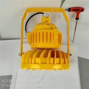华荣 机房LED防爆灯20w 炼化厂LED防爆灯120w 厂家供应