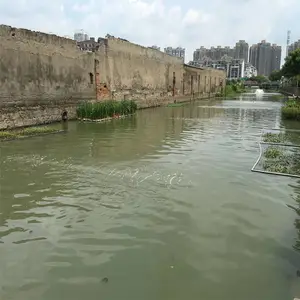 �����ϲ��ڳ���ˮ���� ��������� ԭλˮ��ϵ�޸�����