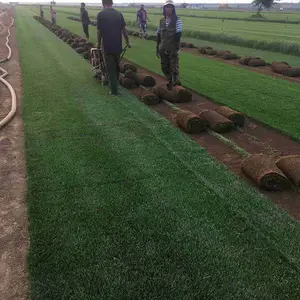 ���������β���� ����é��Ƥ �����ܻ��� ��������ƺ Ұ�����