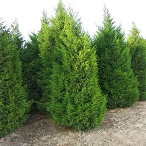 2������ ���� ��·����� �����ܱ����ν����� �ڵ�覴� �ļ�����